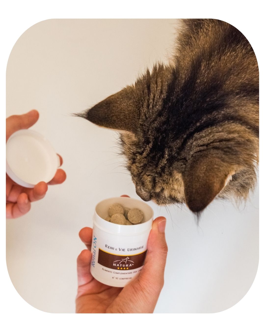Supplements for Cats